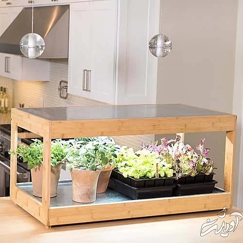 لامپ رشد گیاه چیست و چطور چراغ برای رشد گیاهان انتخاب کنیم؟